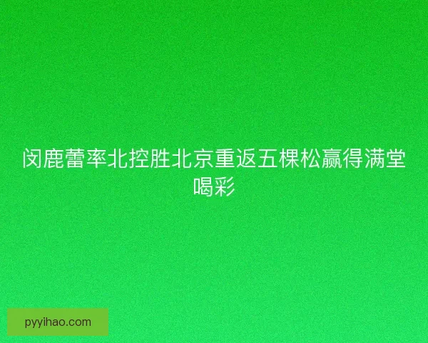 闵鹿蕾率北控胜北京重返五棵松赢得满堂喝彩